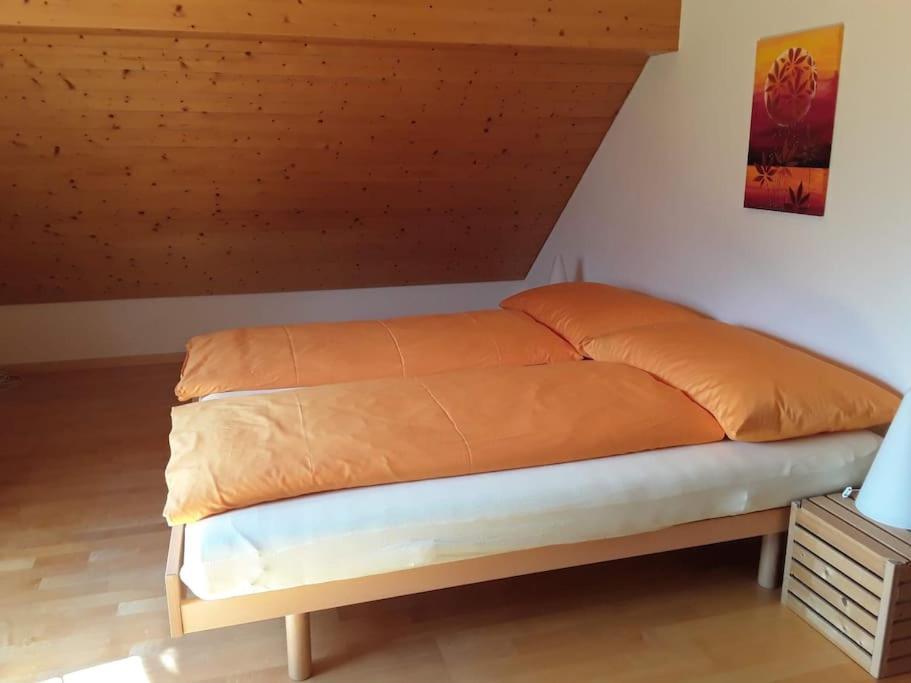 Zwinglis Ferienwohnung Rosi Nesslau Eksteriør bilde